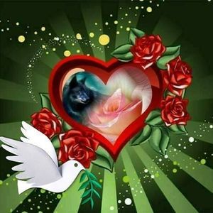 Meet your Posher, Edith